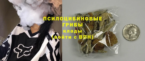 сатива Вязники