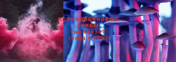 марки lsd Вяземский
