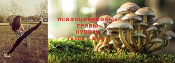 сатива Вязники