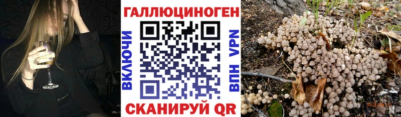 Псилоцибиновые грибы Magic Shrooms  Купить  Сальск 