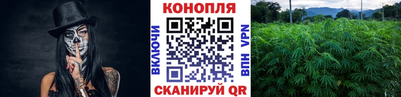 Купить закладки  Сальск  Каннабис Amnesia 